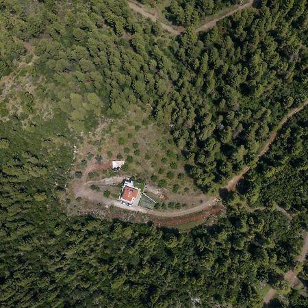 Dream House Capturing The Magic Of Nature Vlachia Exteriör bild