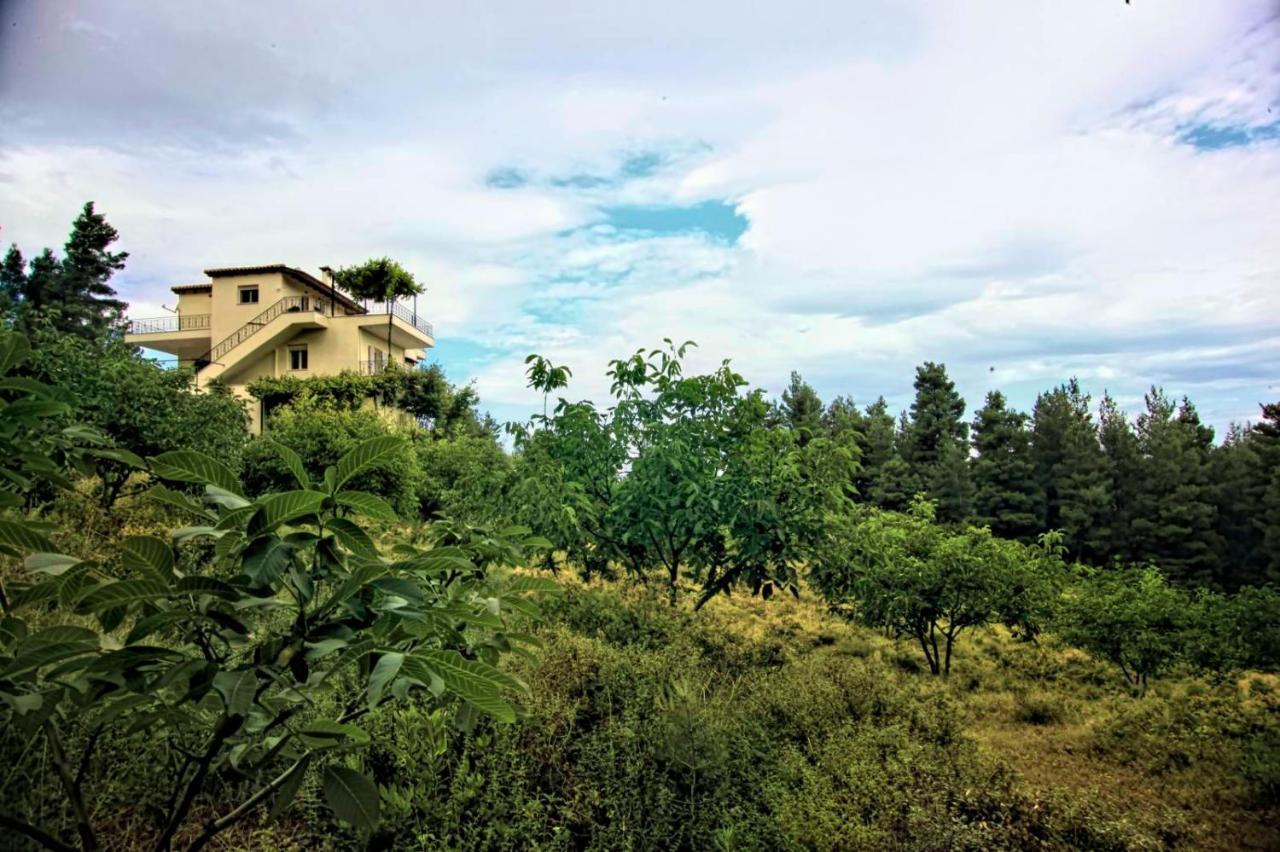 Dream House Capturing The Magic Of Nature Vlachia Exteriör bild