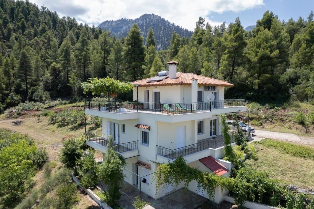 Dream House Capturing The Magic Of Nature Vlachia Exteriör bild