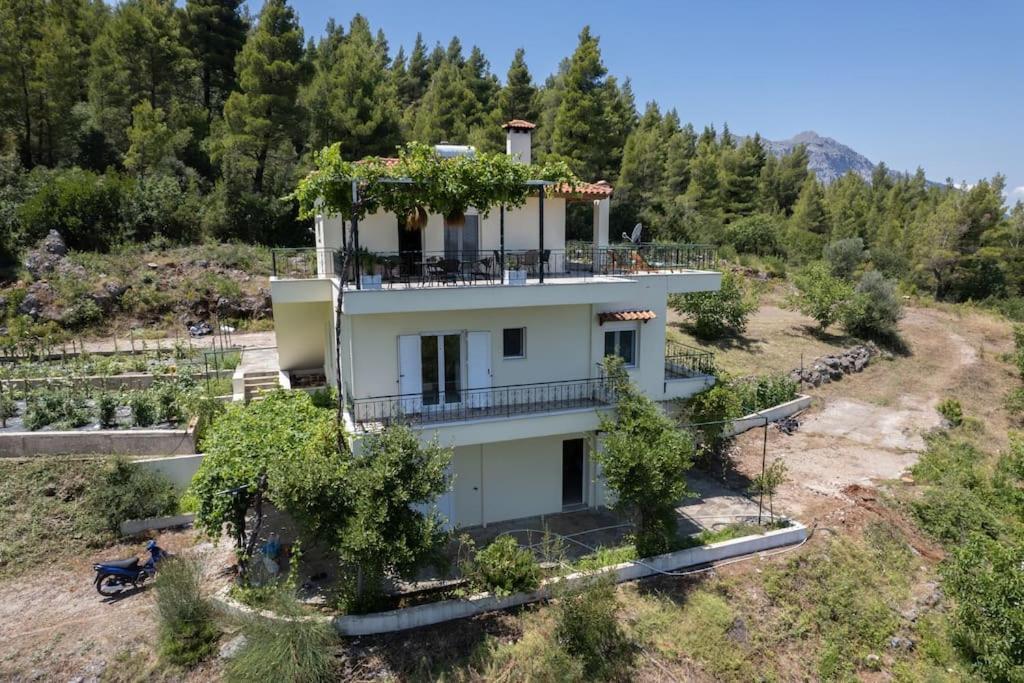 Dream House Capturing The Magic Of Nature Vlachia Exteriör bild