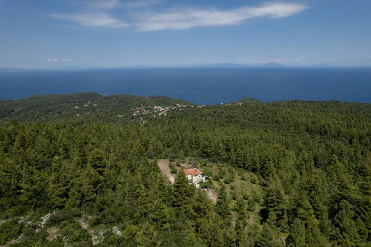 Dream House Capturing The Magic Of Nature Vlachia Exteriör bild