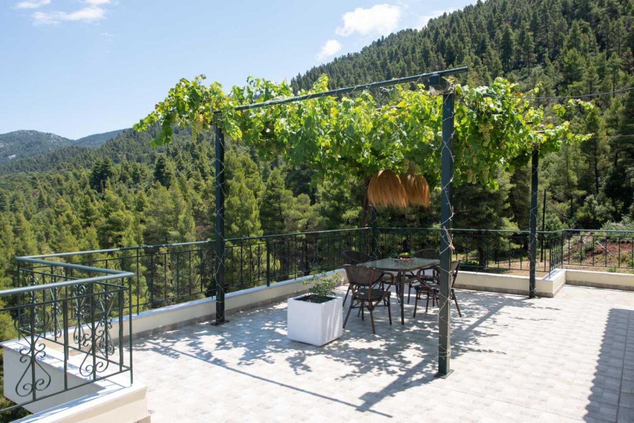 Dream House Capturing The Magic Of Nature Vlachia Exteriör bild